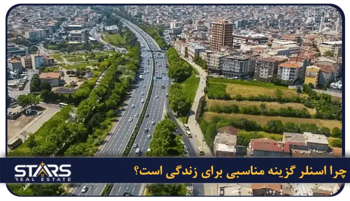 چرا اسنلر گزینه مناسبی برای زندگی است؟